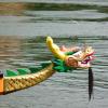 Drachenboot Drachenboot