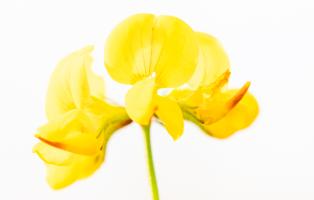 Fotoexkursion